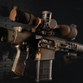 Category D (Restricted Firearms)