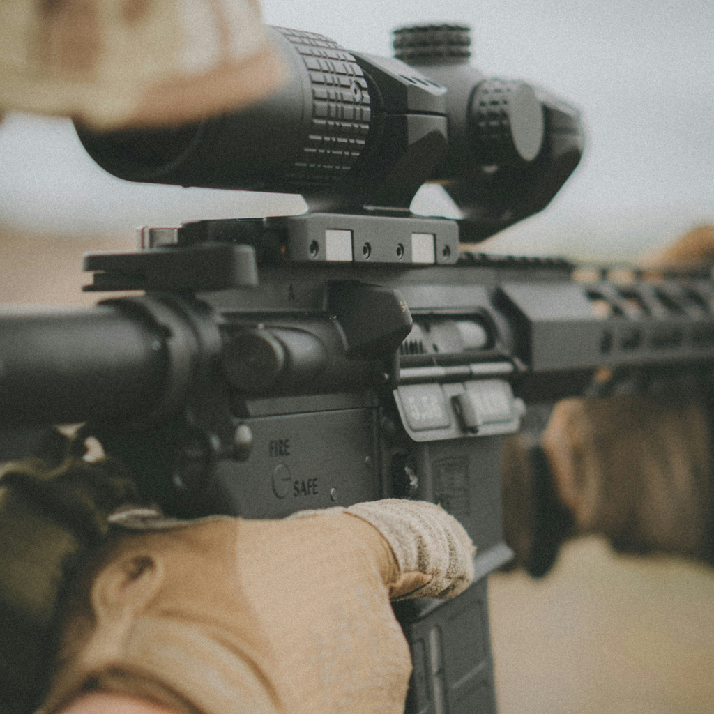 Category D (Restricted Firearms)