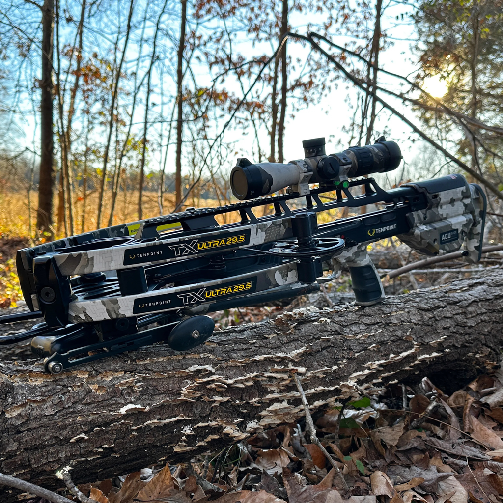 Category M (Crossbows & Controlled Weapons)