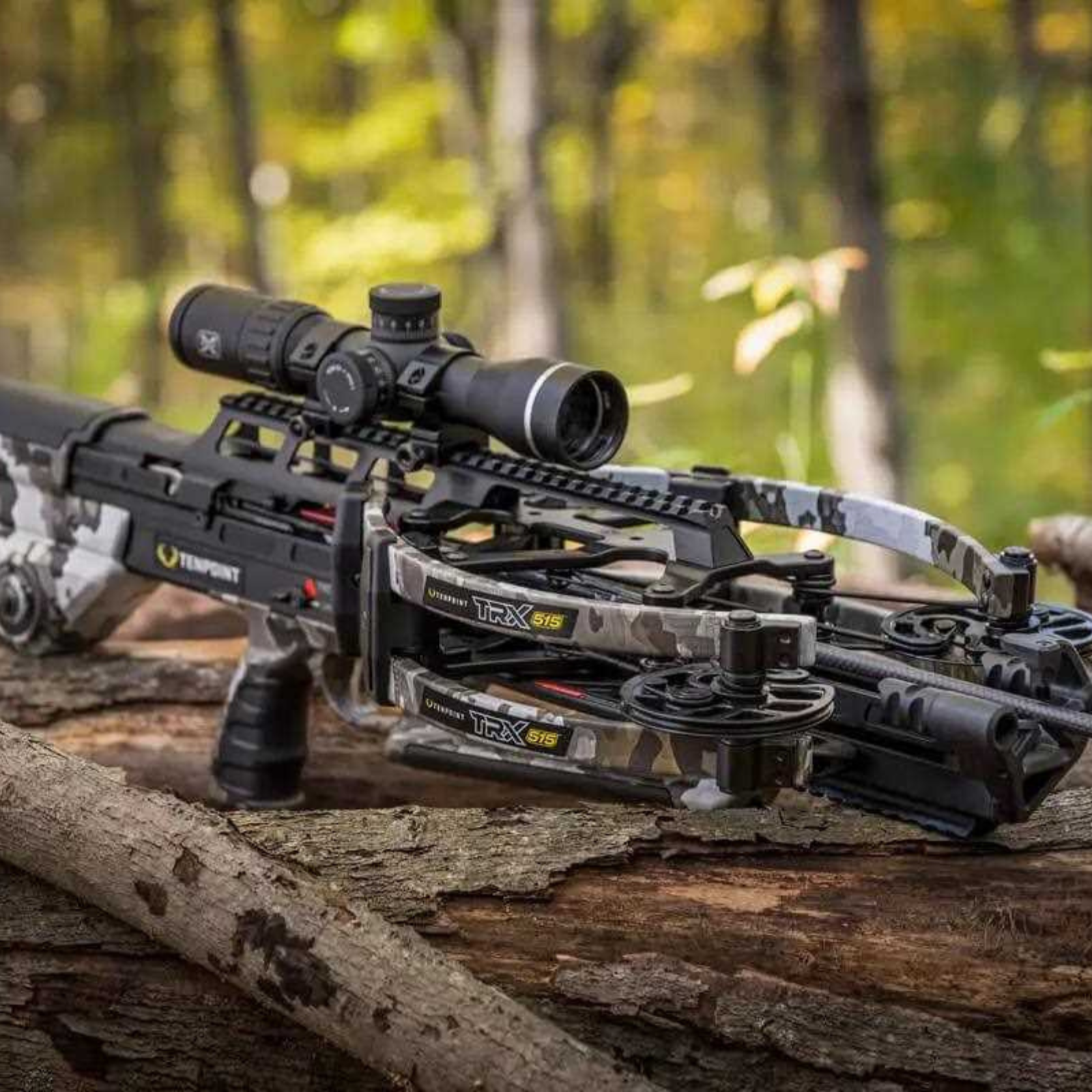 Category M (Crossbows & Controlled Weapons)