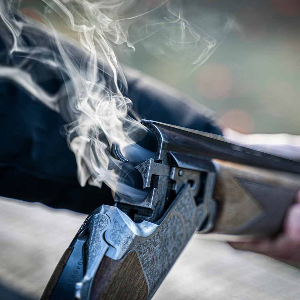 Category A & B (Rifles & Shotguns)